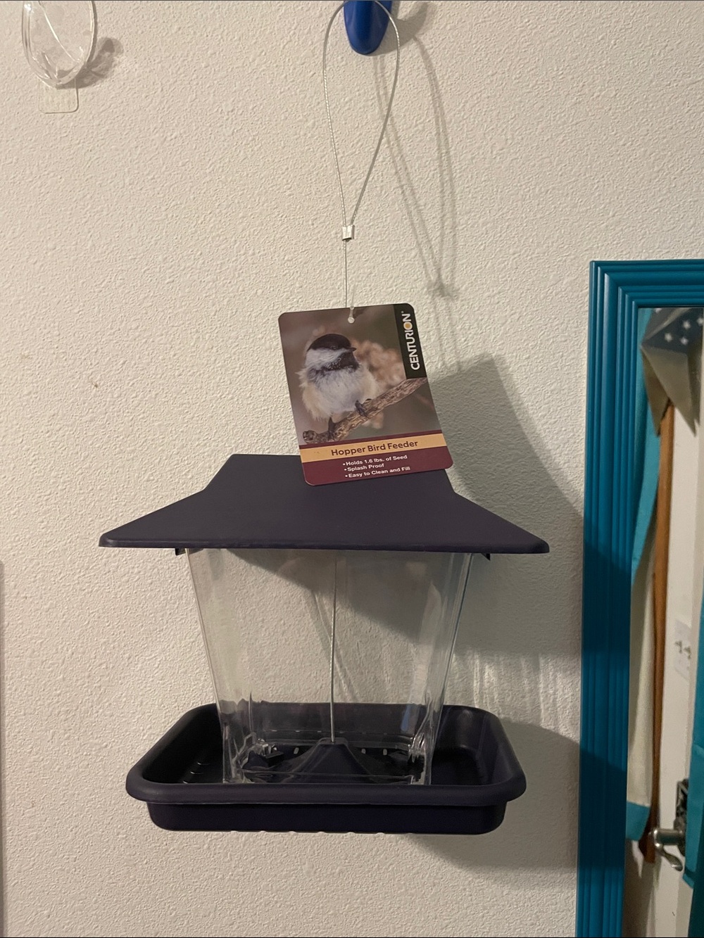 Hopper Bird Feeder purple and clear